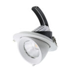 Faretto Downlight LED Inclinabile Cobfix Angle 15W